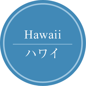 Hawaii　ハワイ